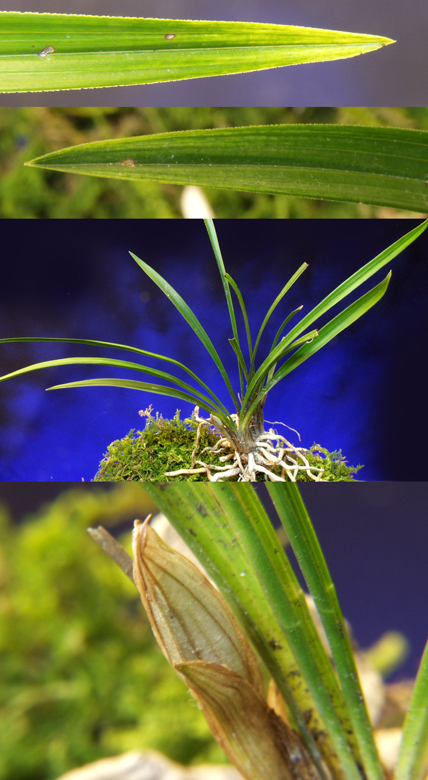 ������ ū������ �� �� �ֽ��ϴ�.