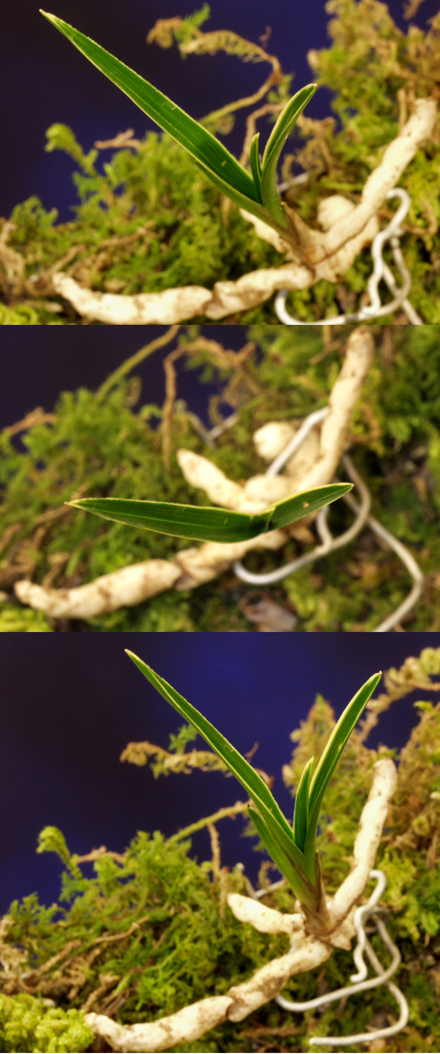 ������ ū������ �� �� �ֽ��ϴ�.