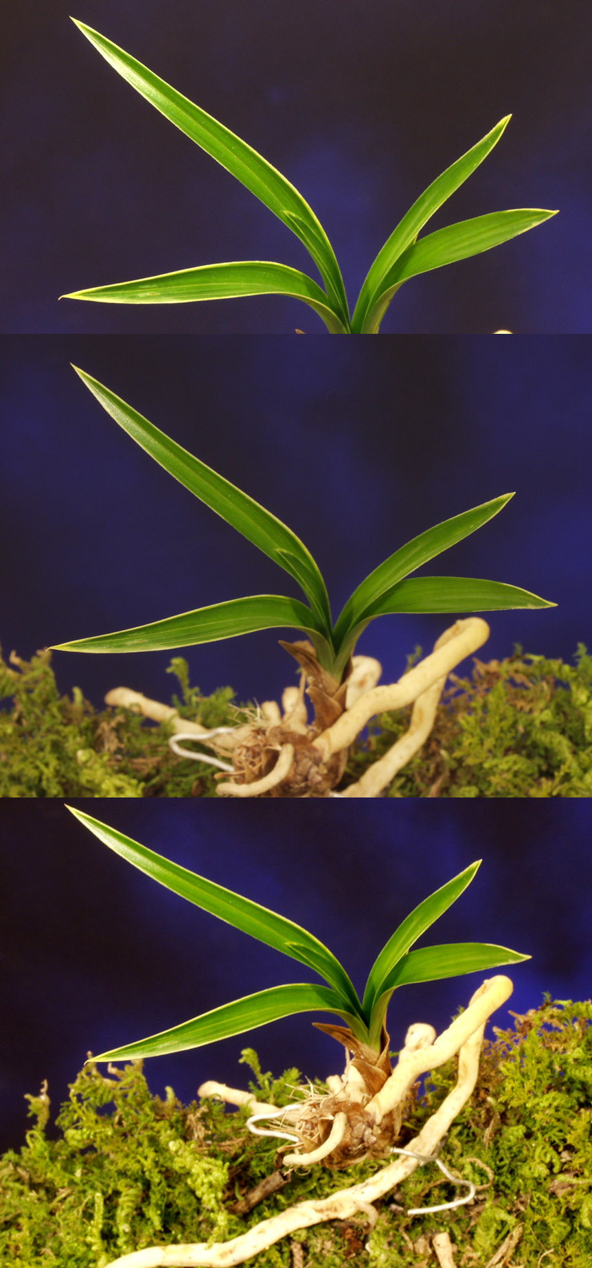 ������ ū������ �� �� �ֽ��ϴ�.