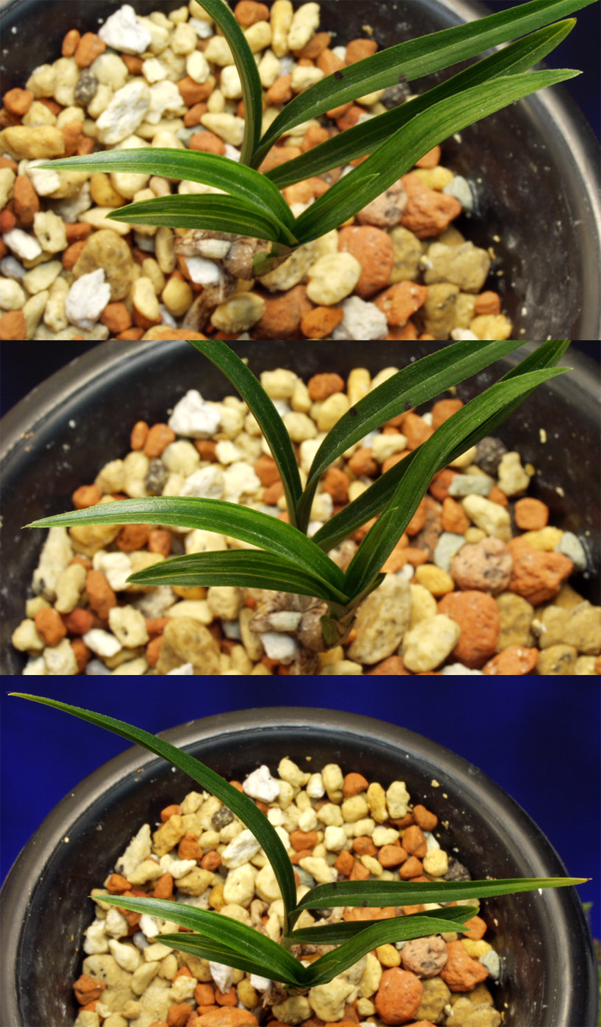 ������ ū������ �� �� �ֽ��ϴ�.