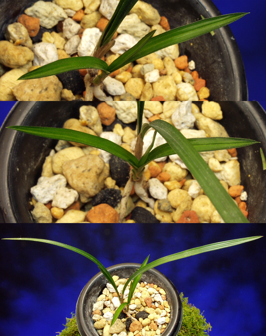 ������ ū������ �� �� �ֽ��ϴ�.