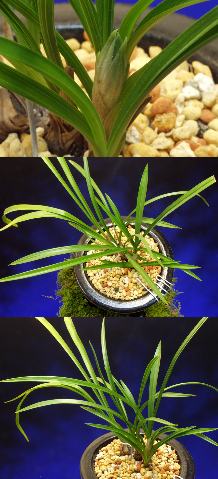 ������ ū������ �� �� �ֽ��ϴ�.