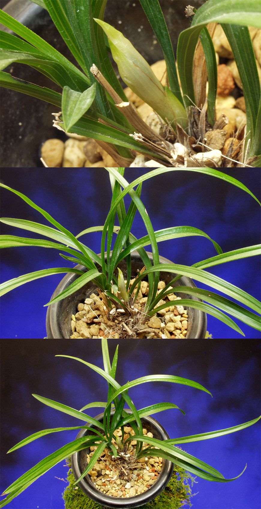 ������ ū������ �� �� �ֽ��ϴ�.