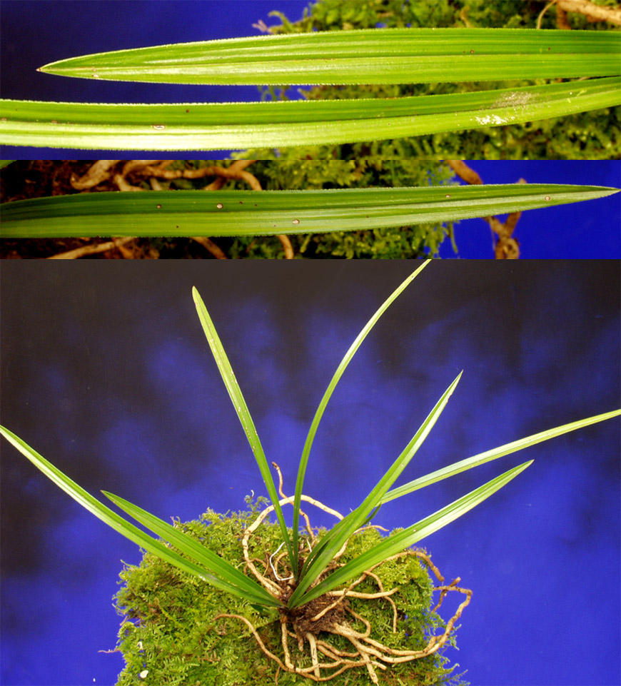 ������ ū������ �� �� �ֽ��ϴ�.