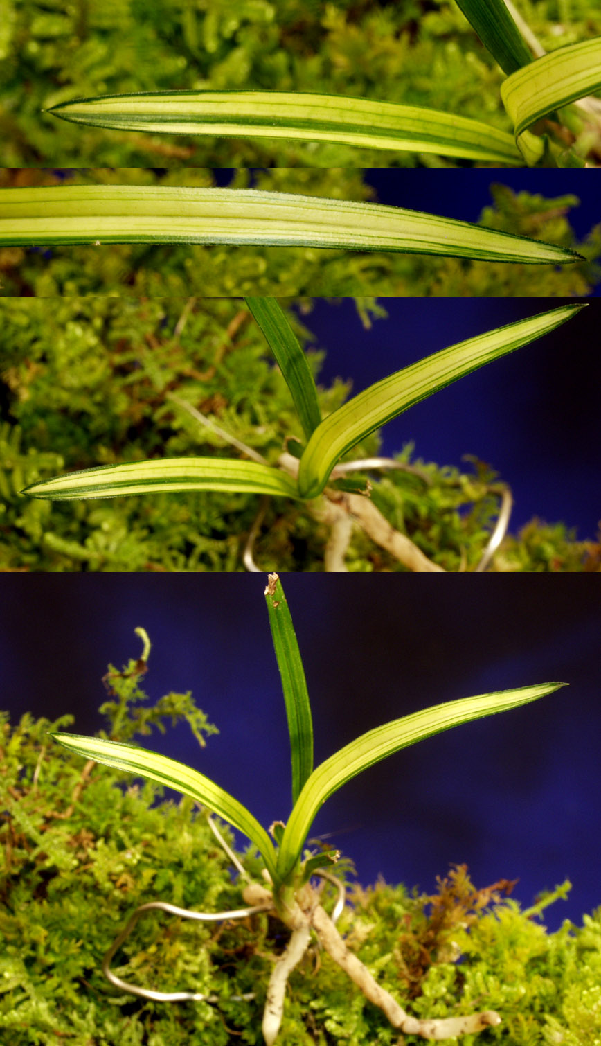 ������ ū������ �� �� �ֽ��ϴ�.