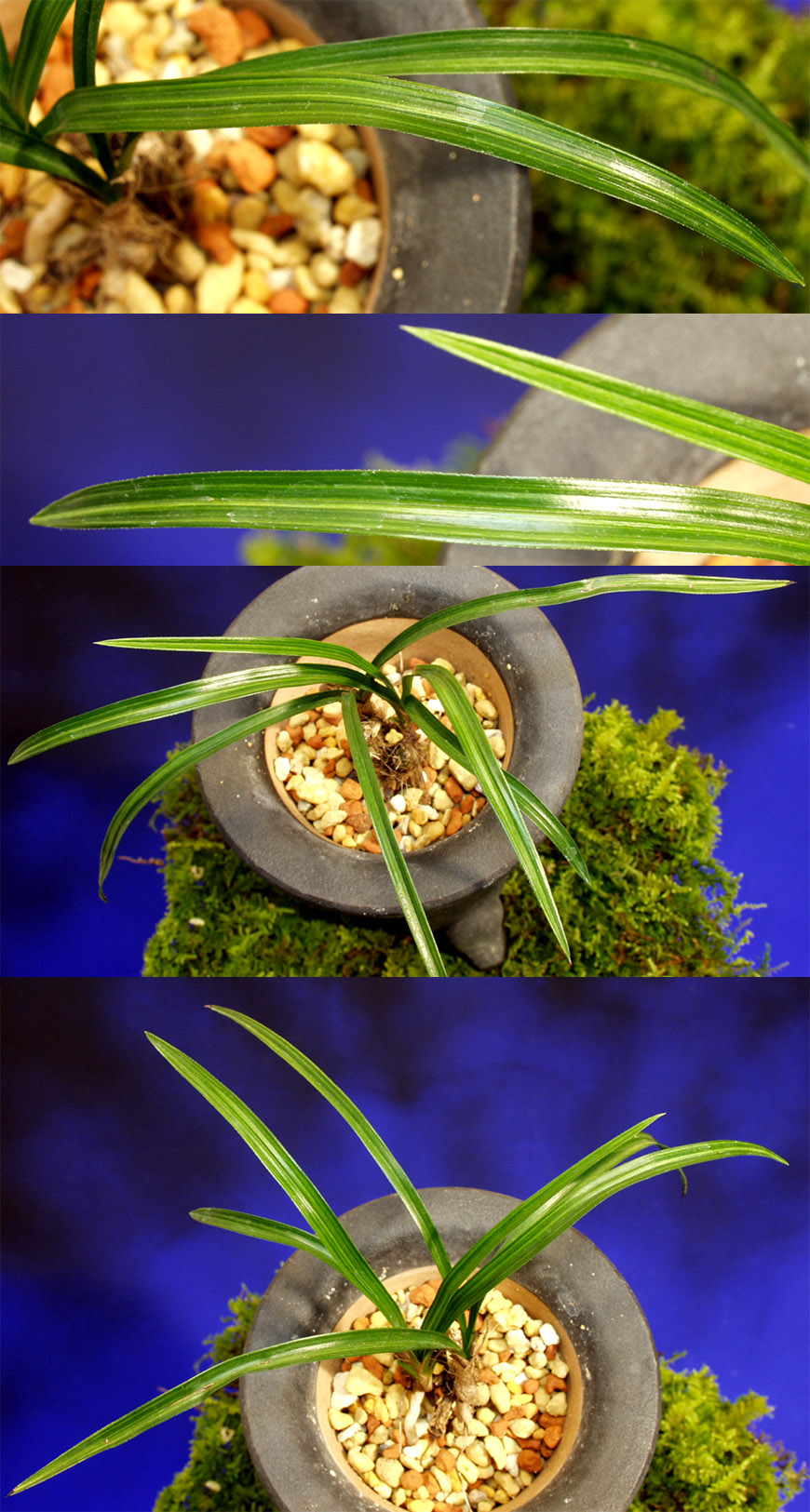 ������ ū������ �� �� �ֽ��ϴ�.