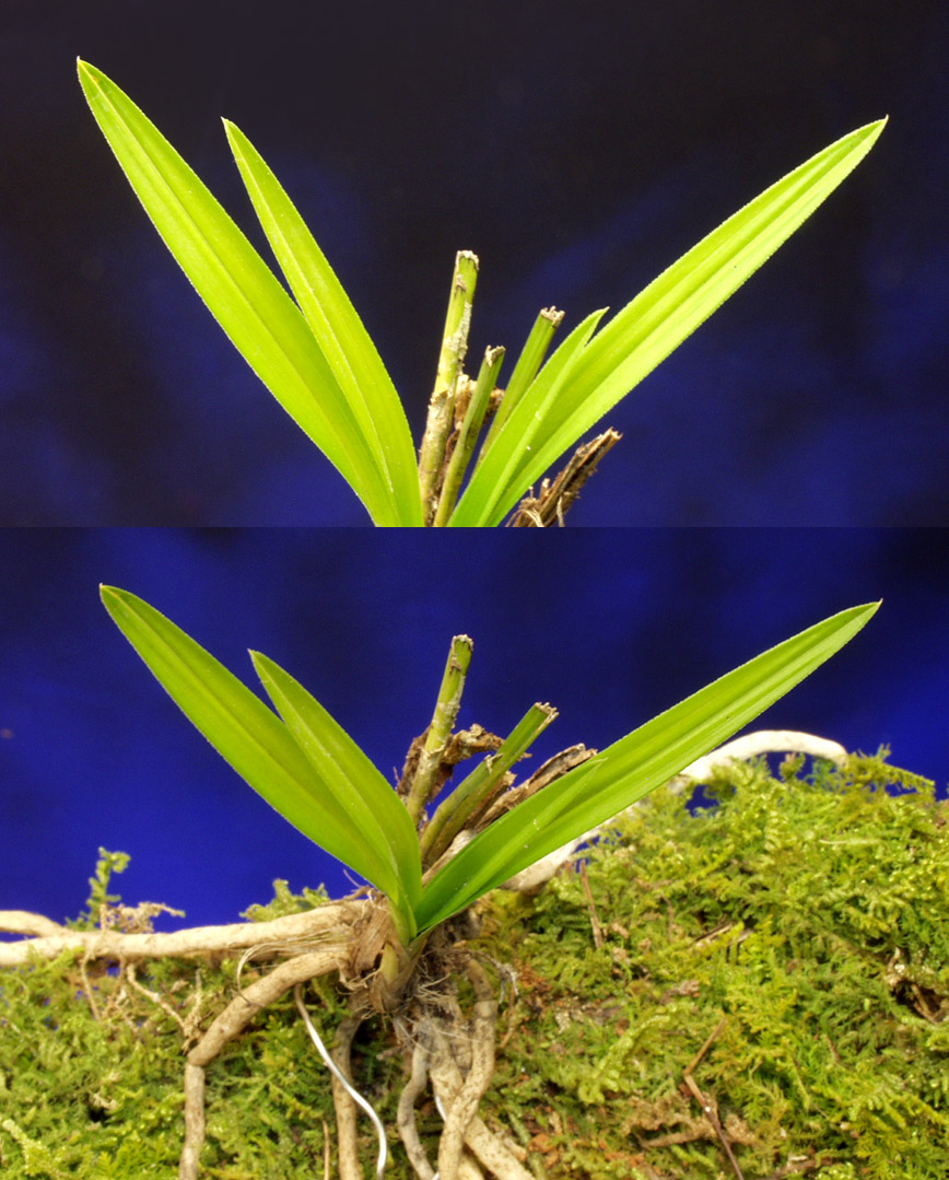 ������ ū������ �� �� �ֽ��ϴ�.