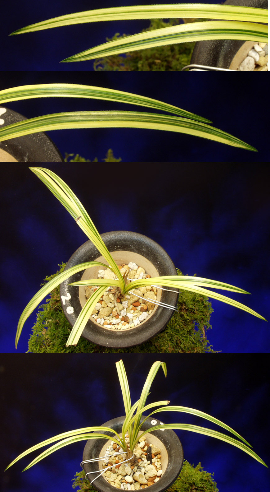 ������ ū������ �� �� �ֽ��ϴ�.