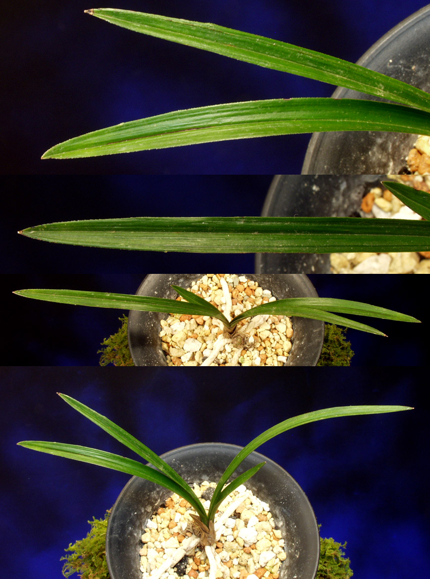 ������ ū������ �� �� �ֽ��ϴ�.