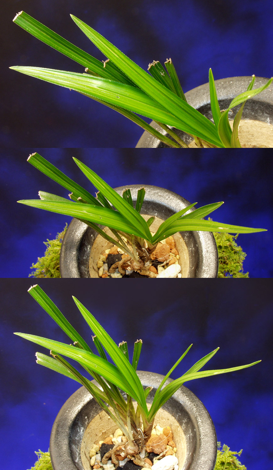 ������ ū������ �� �� �ֽ��ϴ�.