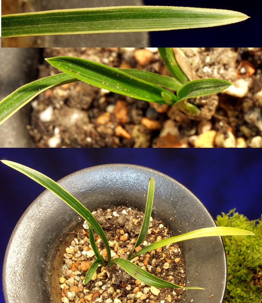 ������ ū������ �� �� �ֽ��ϴ�.