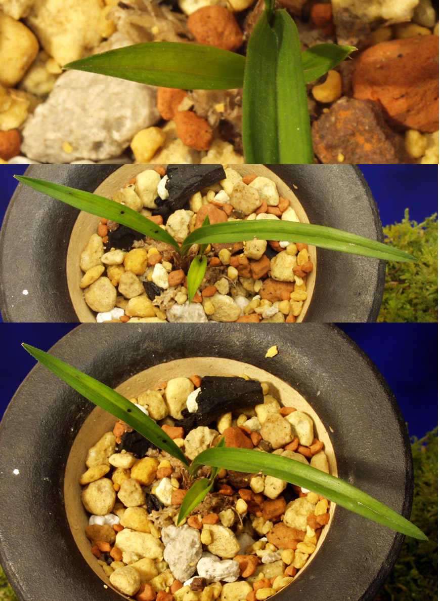 ������ ū������ �� �� �ֽ��ϴ�.