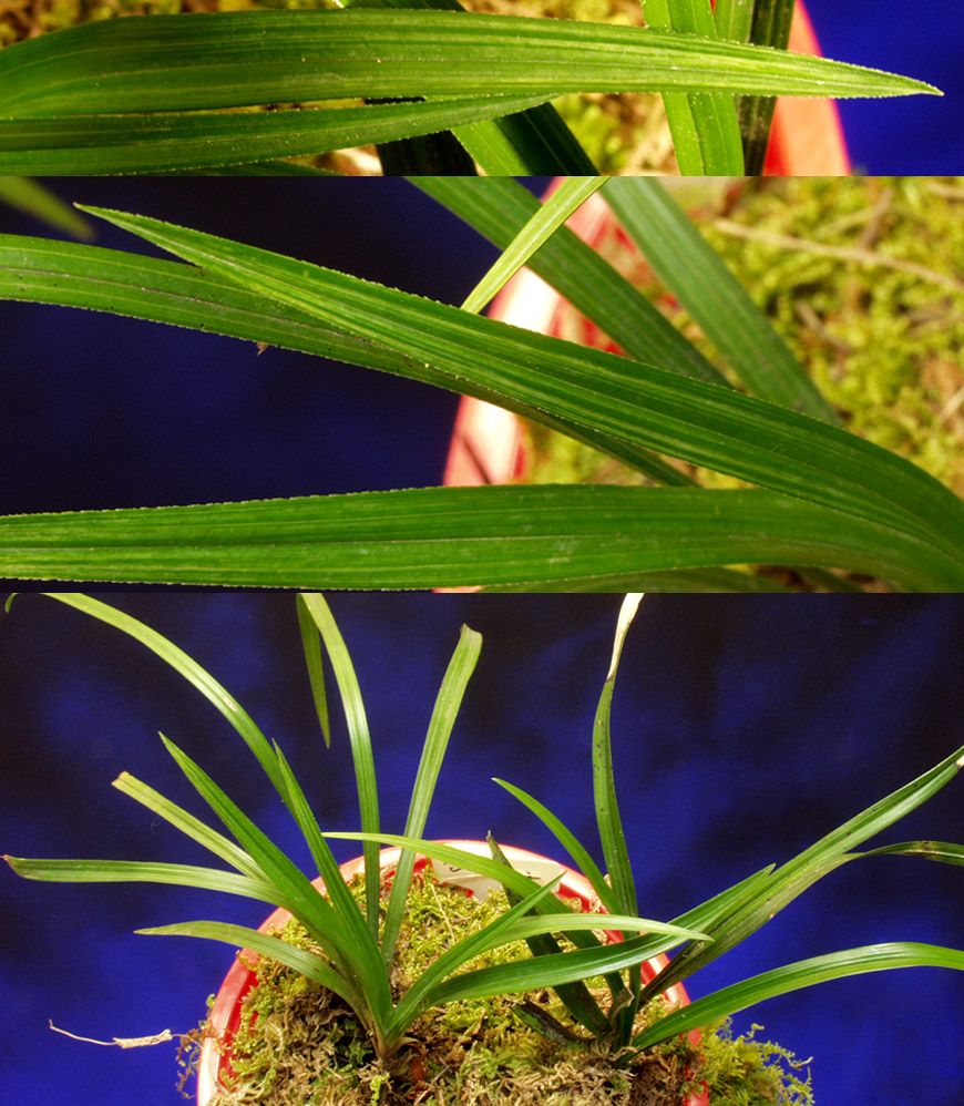 ������ ū������ �� �� �ֽ��ϴ�.