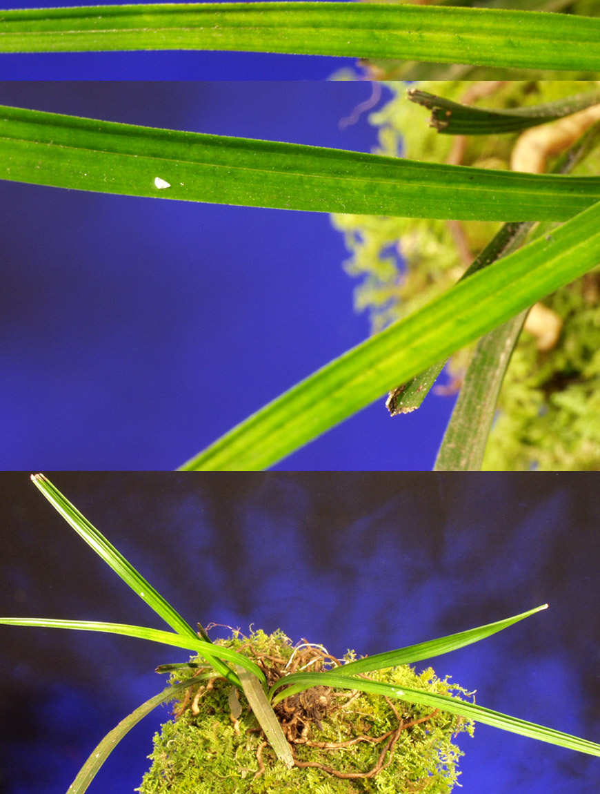 ������ ū������ �� �� �ֽ��ϴ�.