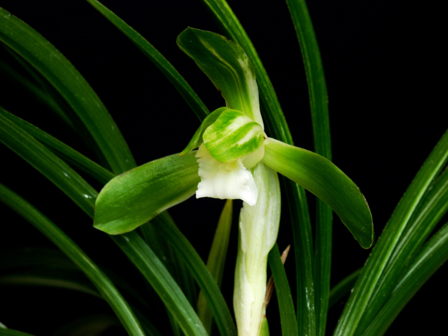 ������ ū������ �� �� �ֽ��ϴ�.