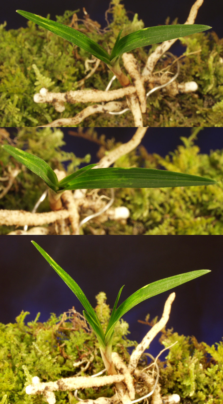 ������ ū������ �� �� �ֽ��ϴ�.