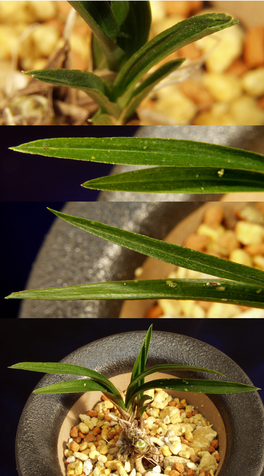 ������ ū������ �� �� �ֽ��ϴ�.