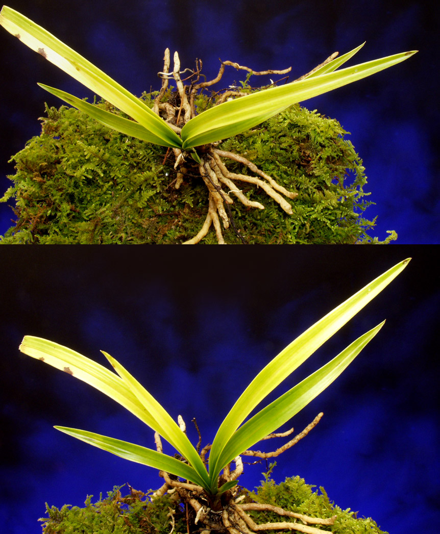 ������ ū������ �� �� �ֽ��ϴ�.