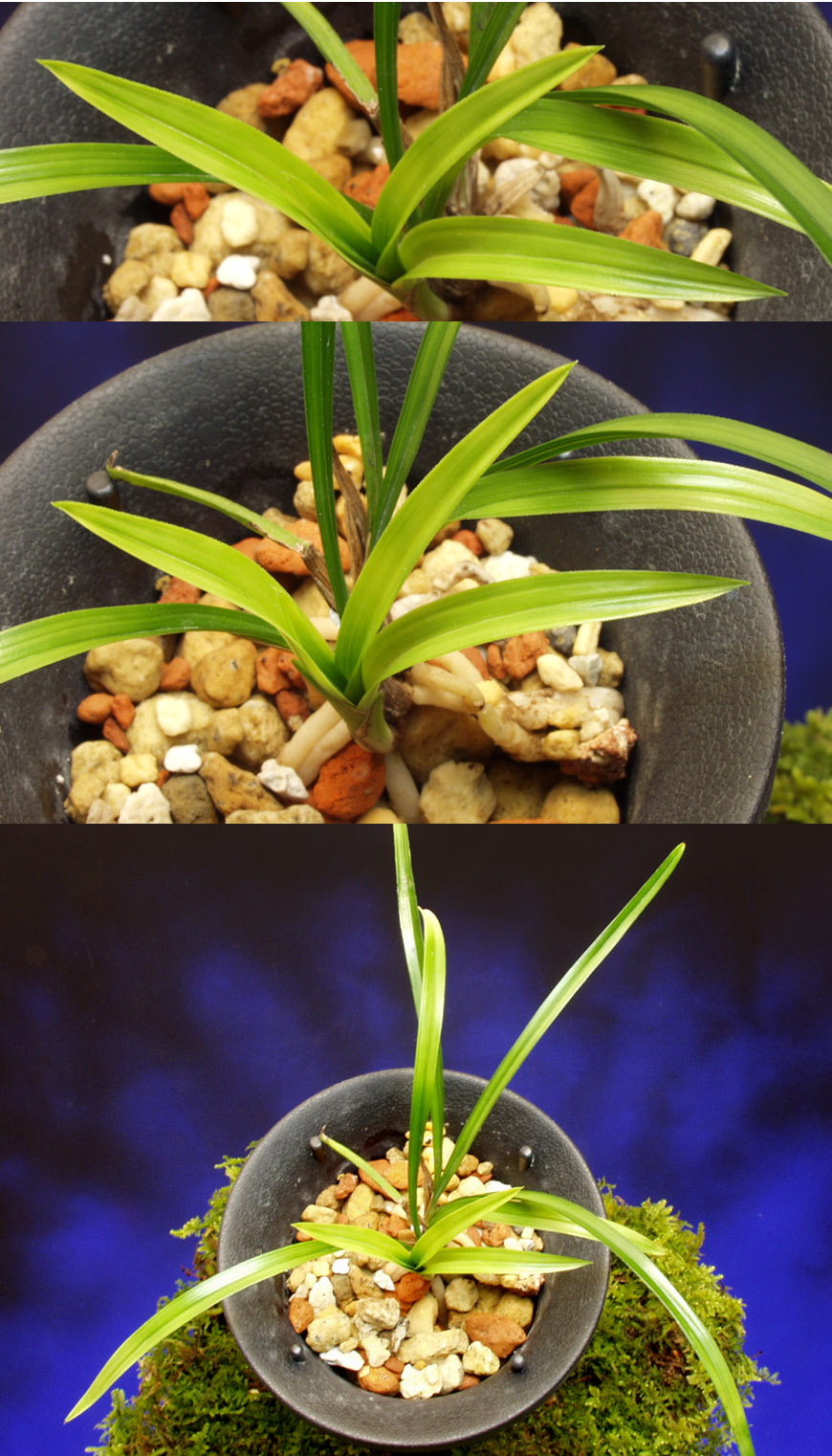 ������ ū������ �� �� �ֽ��ϴ�.