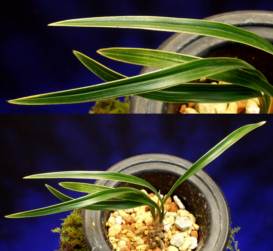 ������ ū������ �� �� �ֽ��ϴ�.