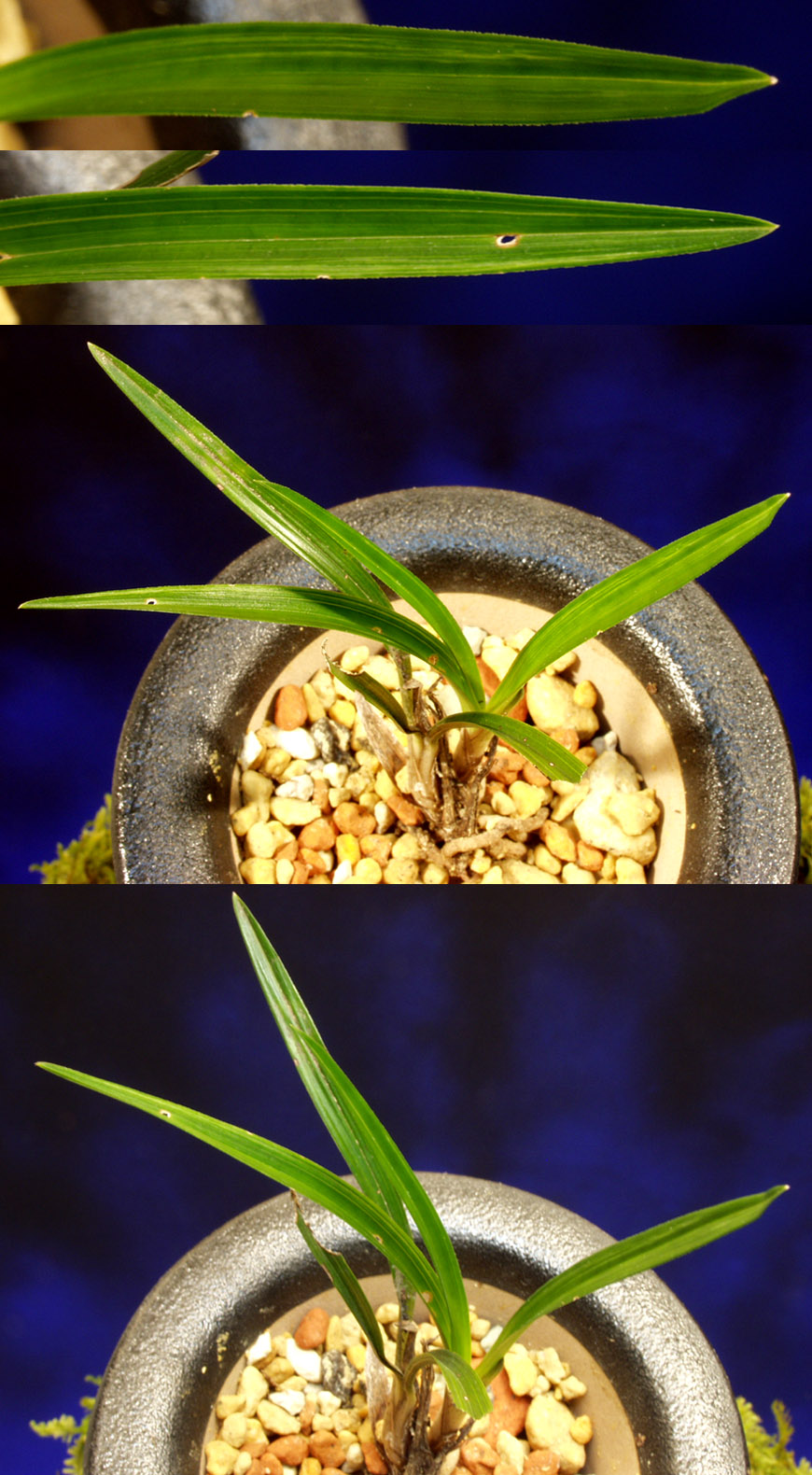 ������ ū������ �� �� �ֽ��ϴ�.