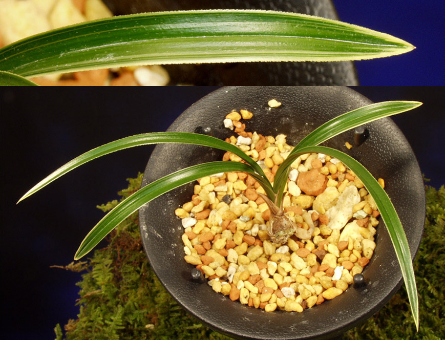 ������ ū������ �� �� �ֽ��ϴ�.