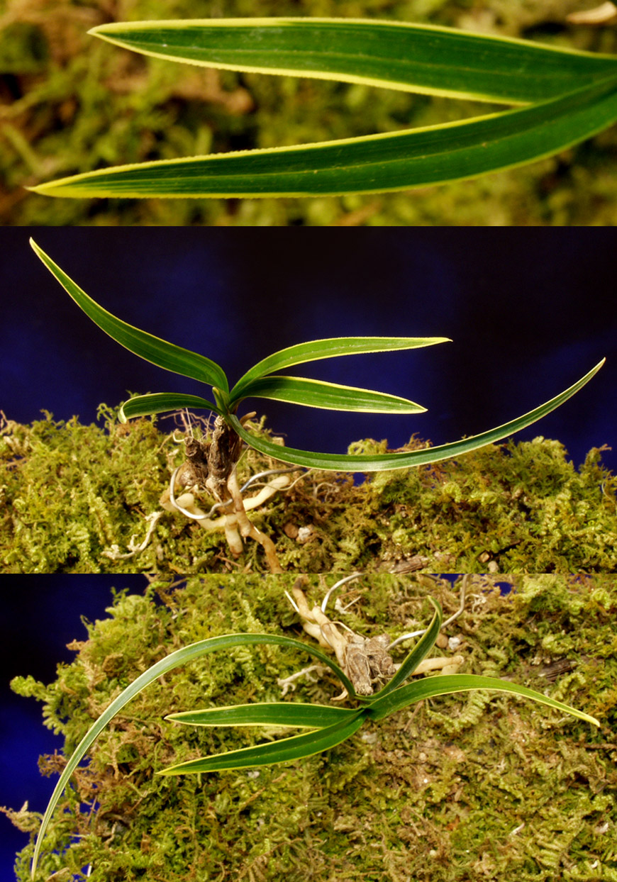 ������ ū������ �� �� �ֽ��ϴ�.