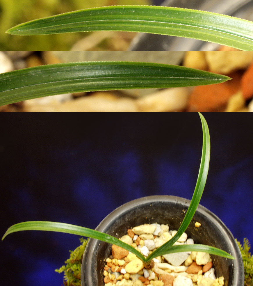 ������ ū������ �� �� �ֽ��ϴ�.