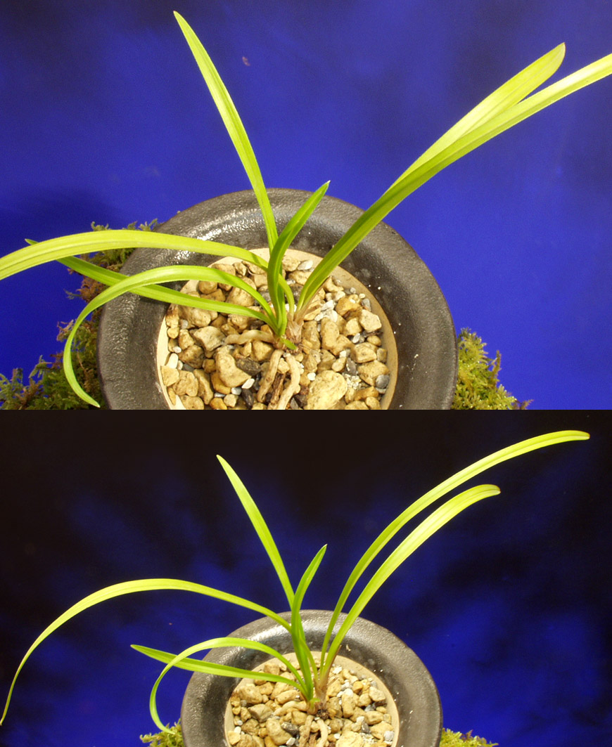 ������ ū������ �� �� �ֽ��ϴ�.