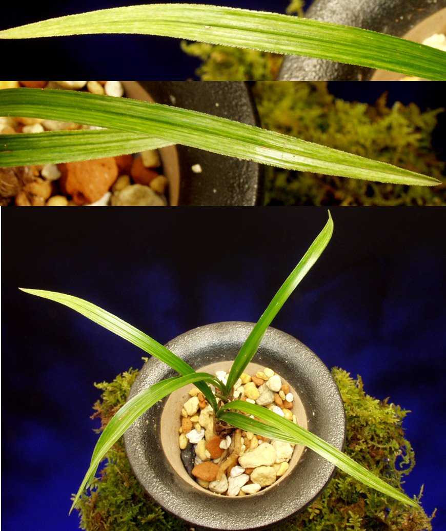 ������ ū������ �� �� �ֽ��ϴ�.