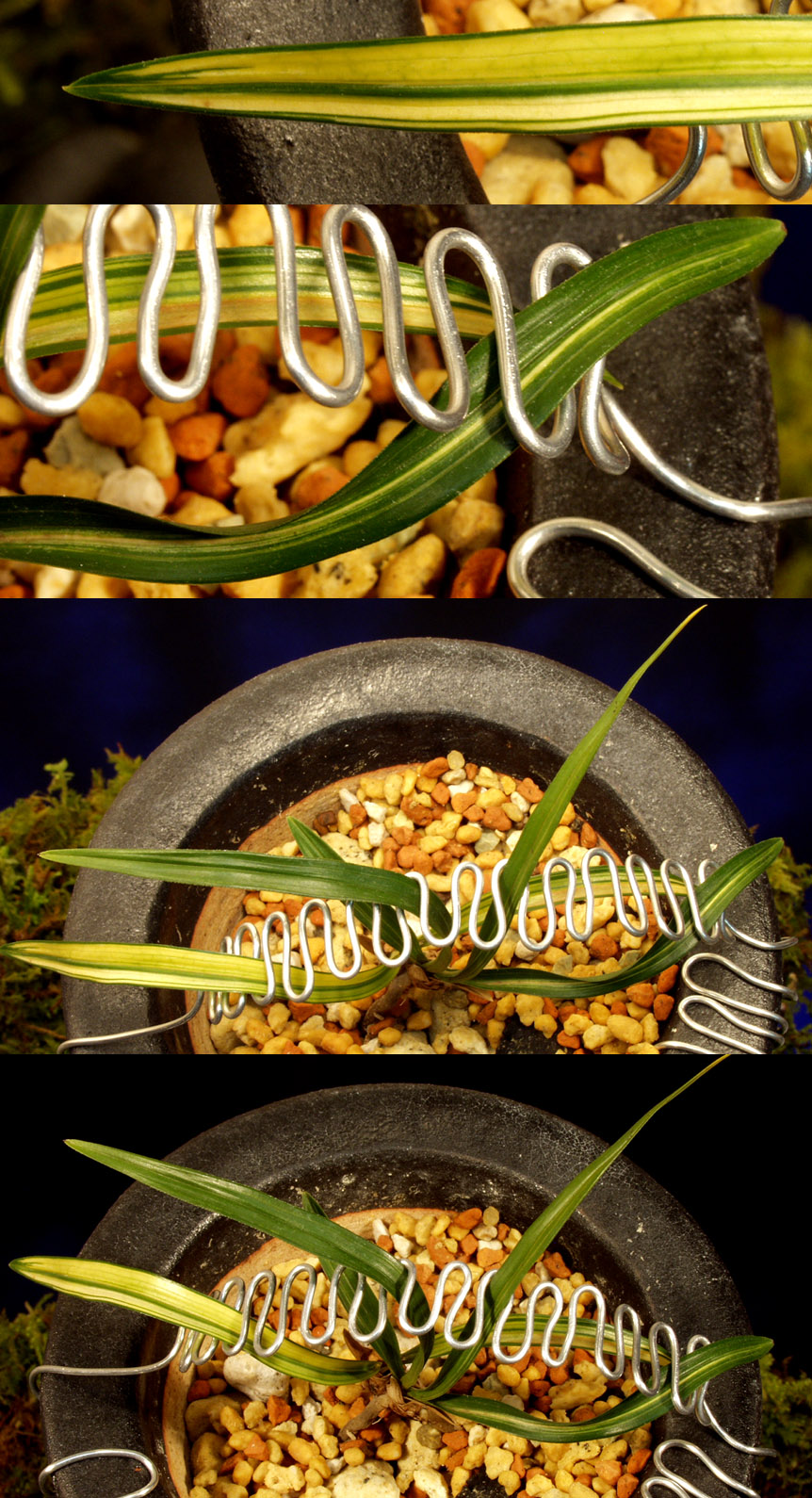 ������ ū������ �� �� �ֽ��ϴ�.