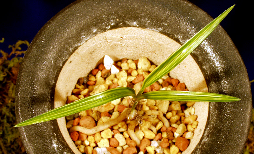 ������ ū������ �� �� �ֽ��ϴ�.