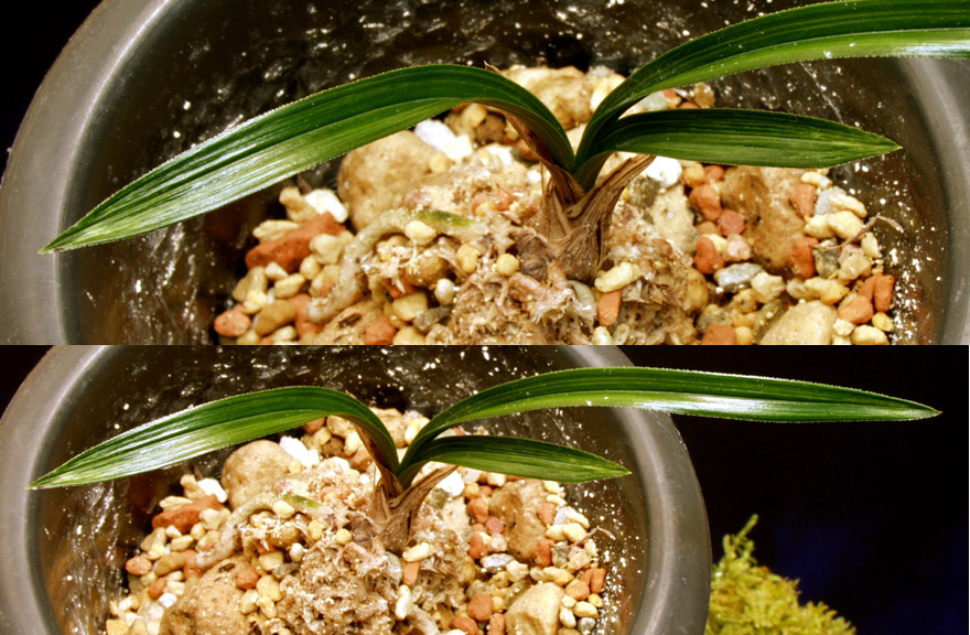 ������ ū������ �� �� �ֽ��ϴ�.