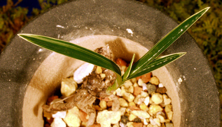 ������ ū������ �� �� �ֽ��ϴ�.