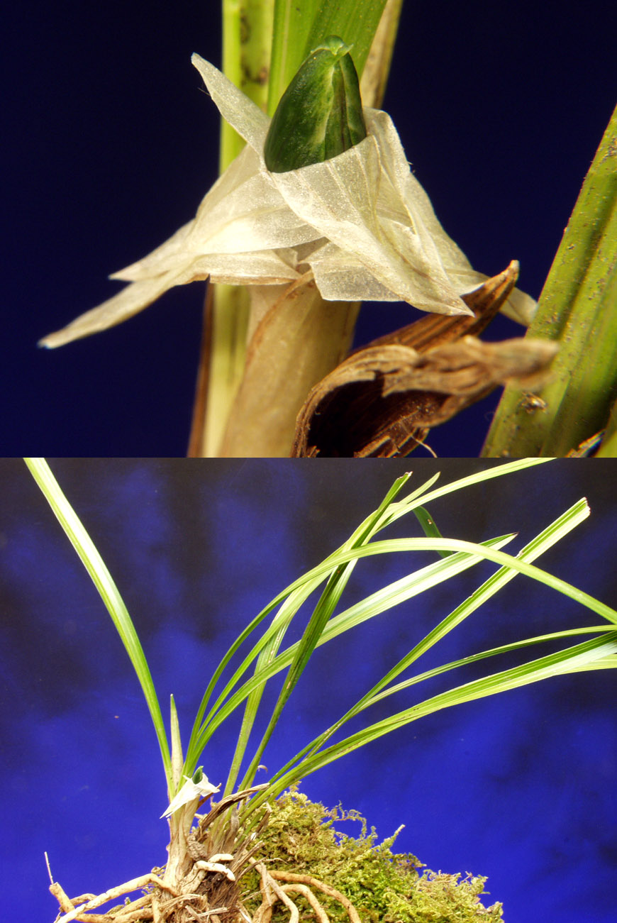 ������ ū������ �� �� �ֽ��ϴ�.