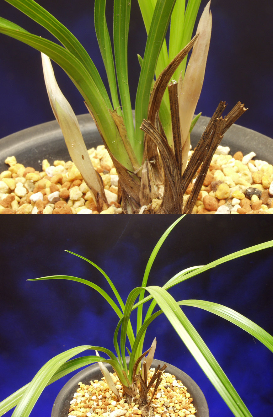 ������ ū������ �� �� �ֽ��ϴ�.