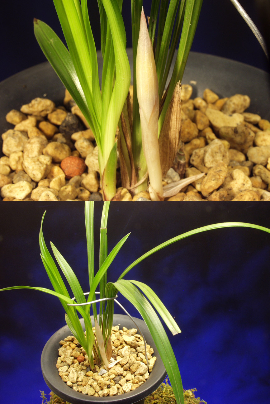 ������ ū������ �� �� �ֽ��ϴ�.