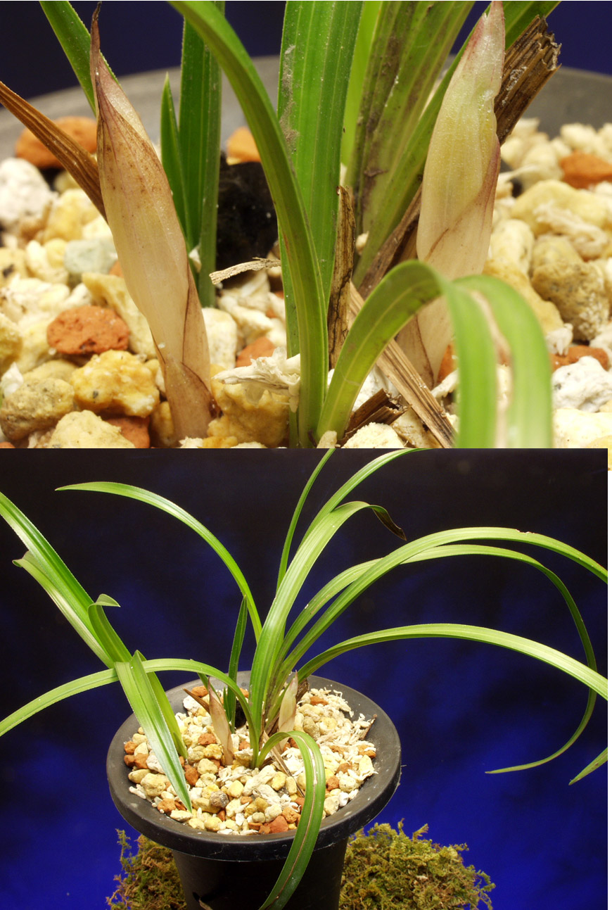 ������ ū������ �� �� �ֽ��ϴ�.