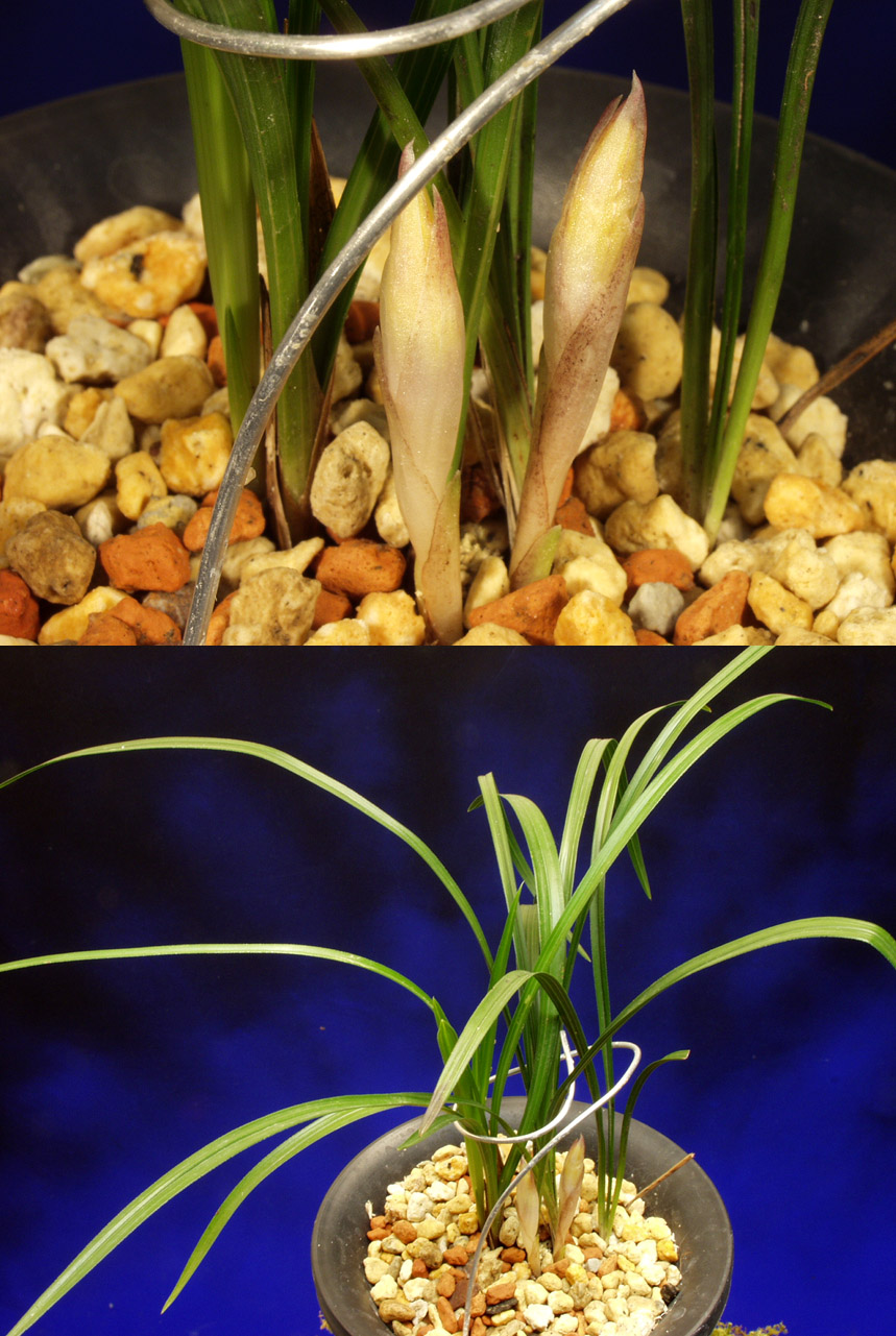 ������ ū������ �� �� �ֽ��ϴ�.