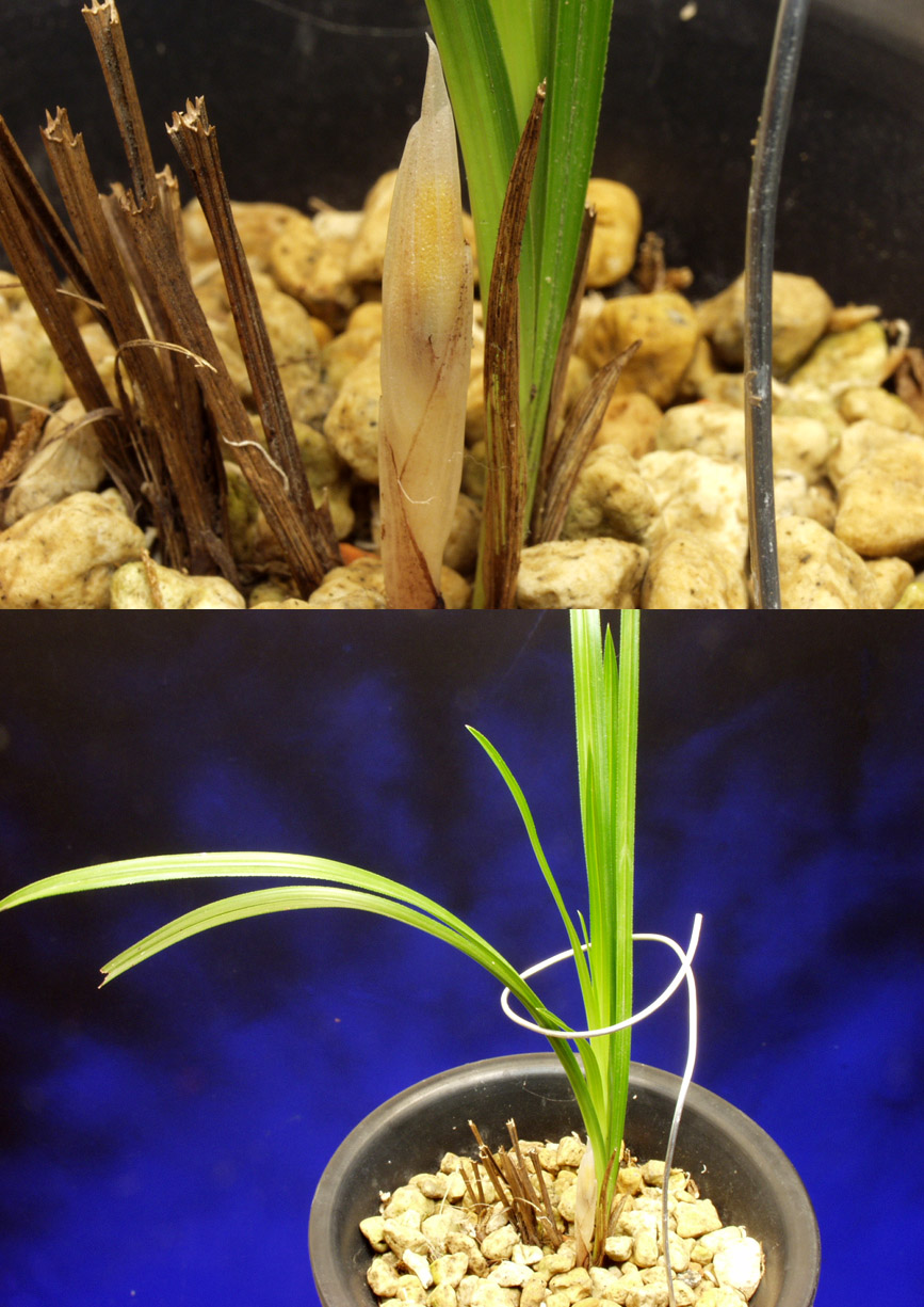 ������ ū������ �� �� �ֽ��ϴ�.