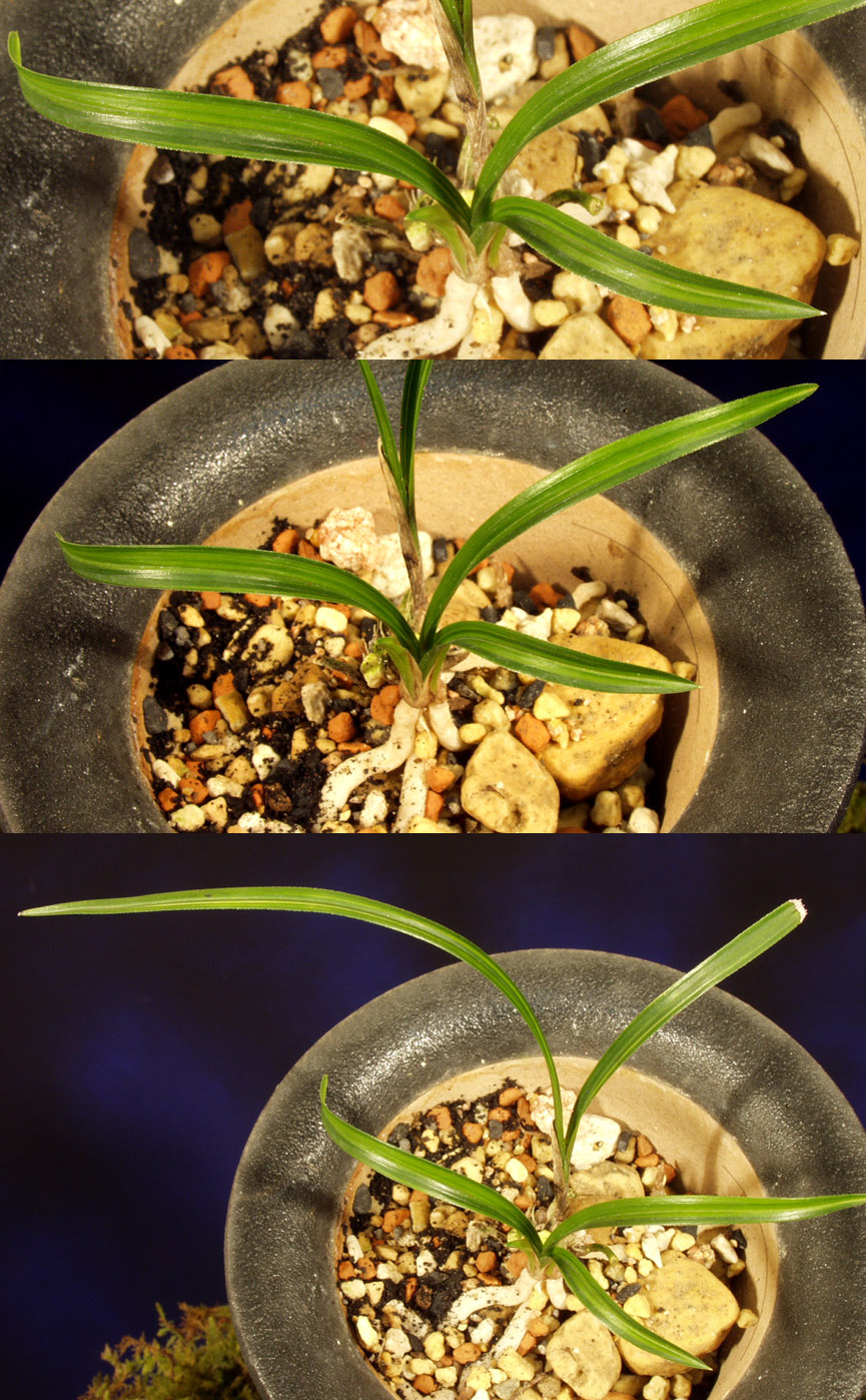 ������ ū������ �� �� �ֽ��ϴ�.