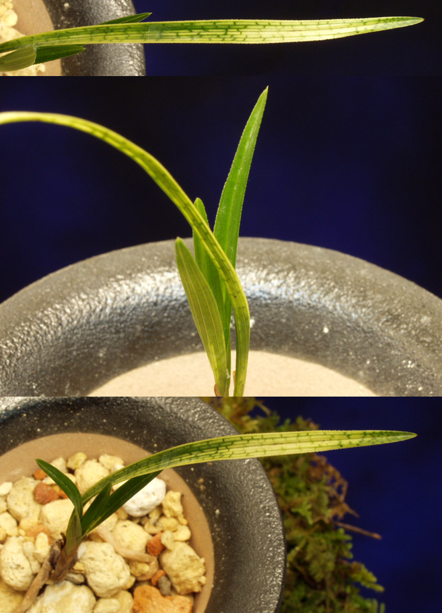 ������ ū������ �� �� �ֽ��ϴ�.