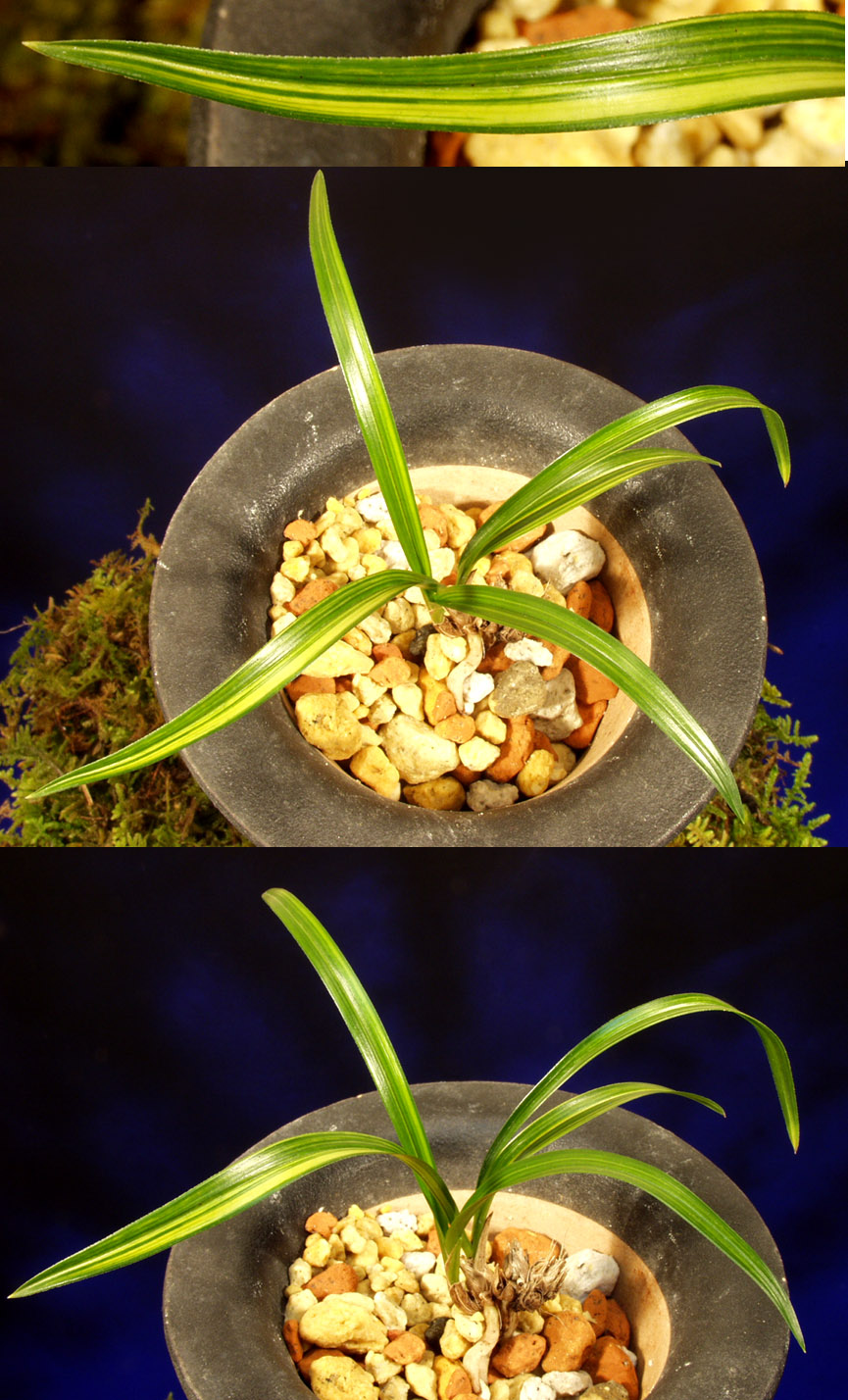 ������ ū������ �� �� �ֽ��ϴ�.