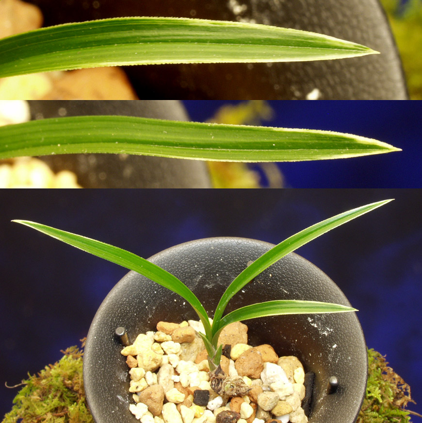 ������ ū������ �� �� �ֽ��ϴ�.