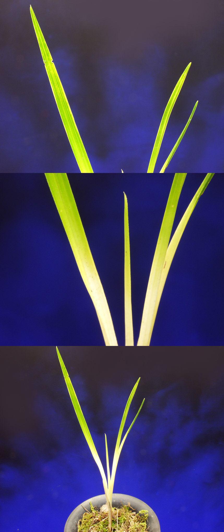 ������ ū������ �� �� �ֽ��ϴ�.