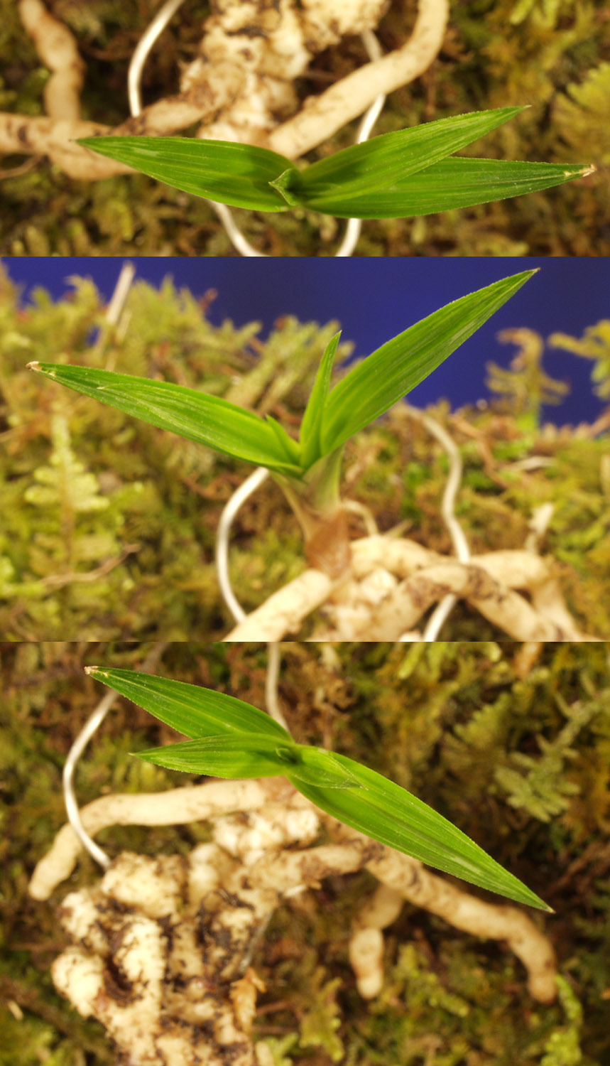 ������ ū������ �� �� �ֽ��ϴ�.