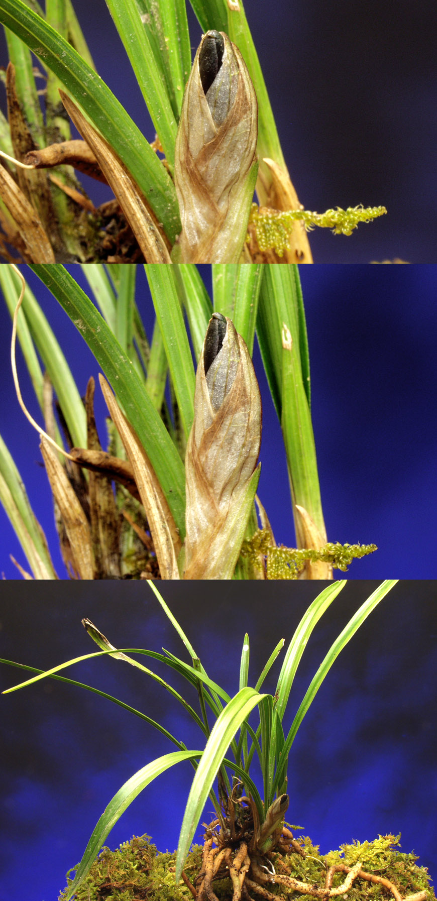 ������ ū������ �� �� �ֽ��ϴ�.