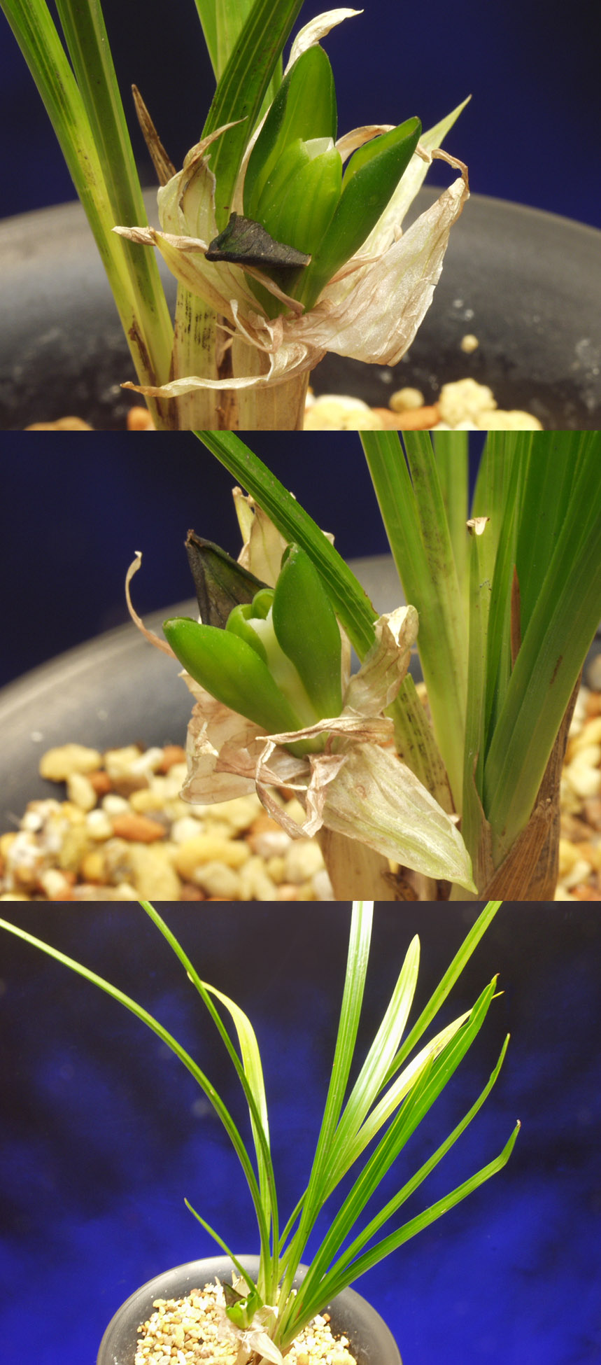 ������ ū������ �� �� �ֽ��ϴ�.