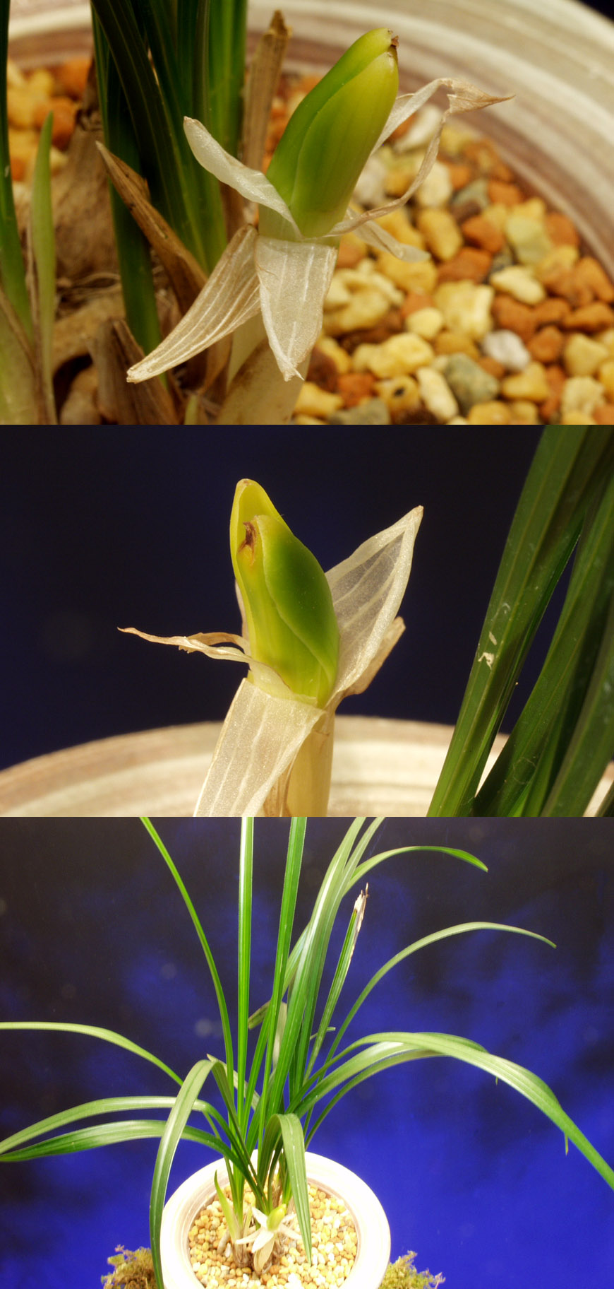 ������ ū������ �� �� �ֽ��ϴ�.