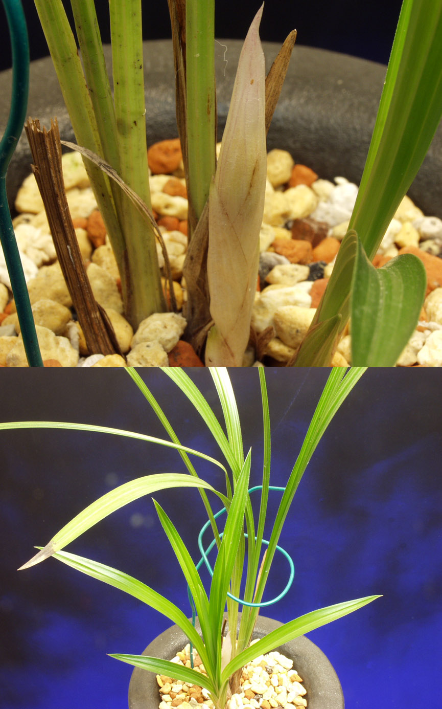 ������ ū������ �� �� �ֽ��ϴ�.